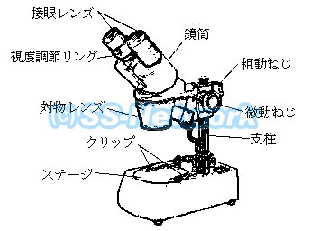 今日のTLT学習 双眼実体顕微鏡（中１理科） - TLTソフト